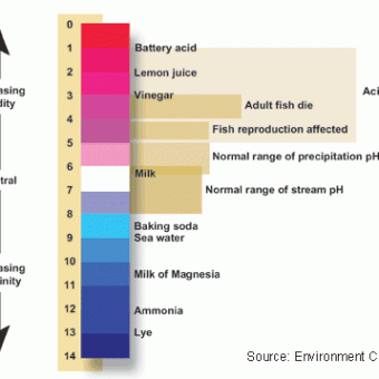 alkaline water